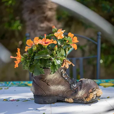 Bed & Breakfast Casa Beatrice Sorrento