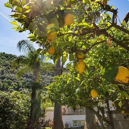 Casa Beatrice فندق مبيت وإفطار سورينتو